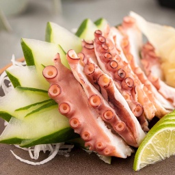 [109724] Sashimi de Polvo